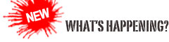 NEW - What's Happening?